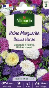 Reine-Marguerite Beauté Variée